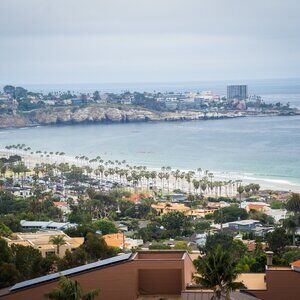 Meet your Posher, Junior